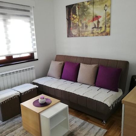 Apartman Milosevic ซลาตีบอร์ ภายนอก รูปภาพ
