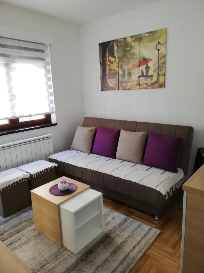 Apartman Milosevic ซลาตีบอร์ ภายนอก รูปภาพ